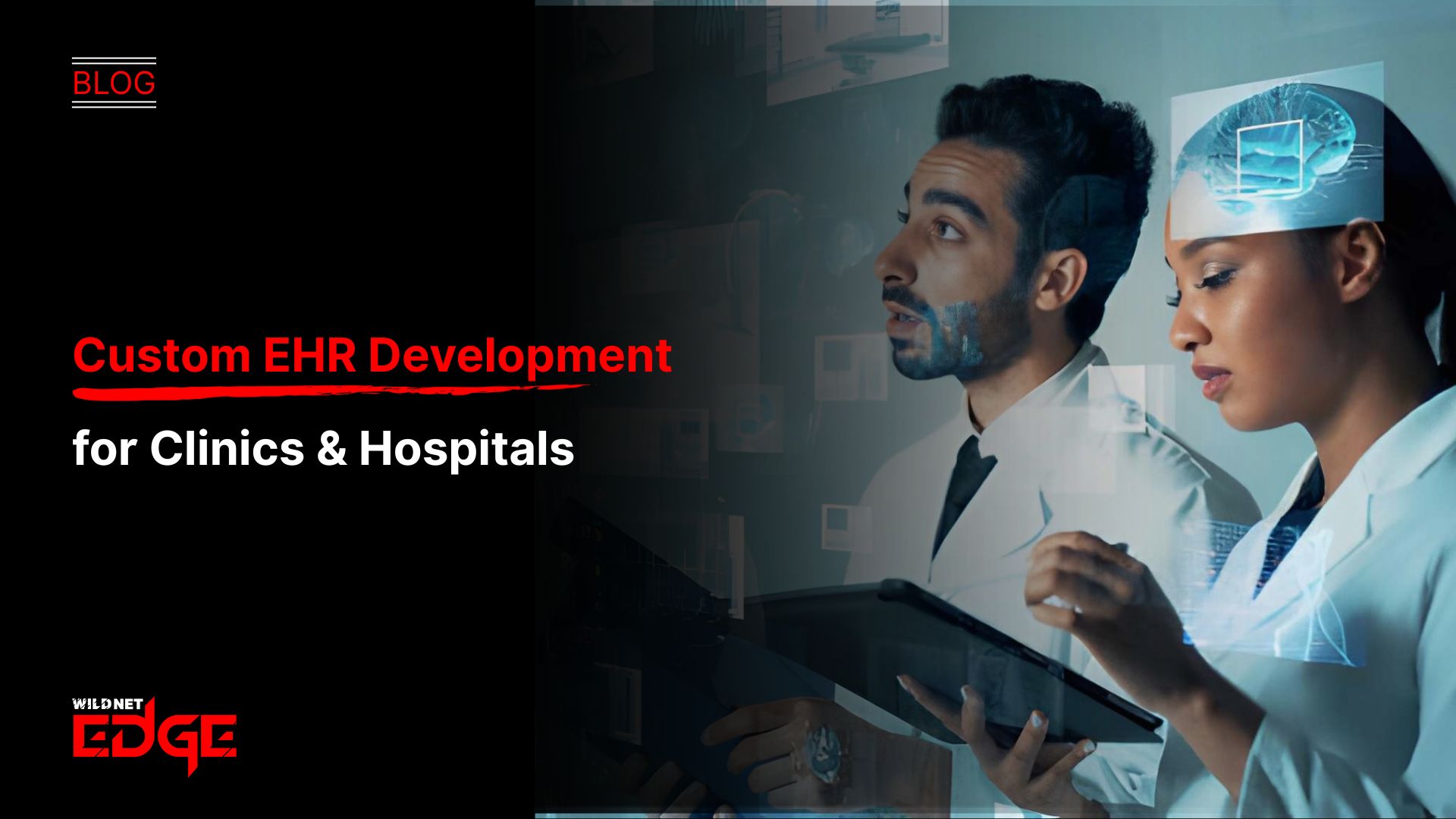 Custom EHR Development for Clinics & Hospitals (1)