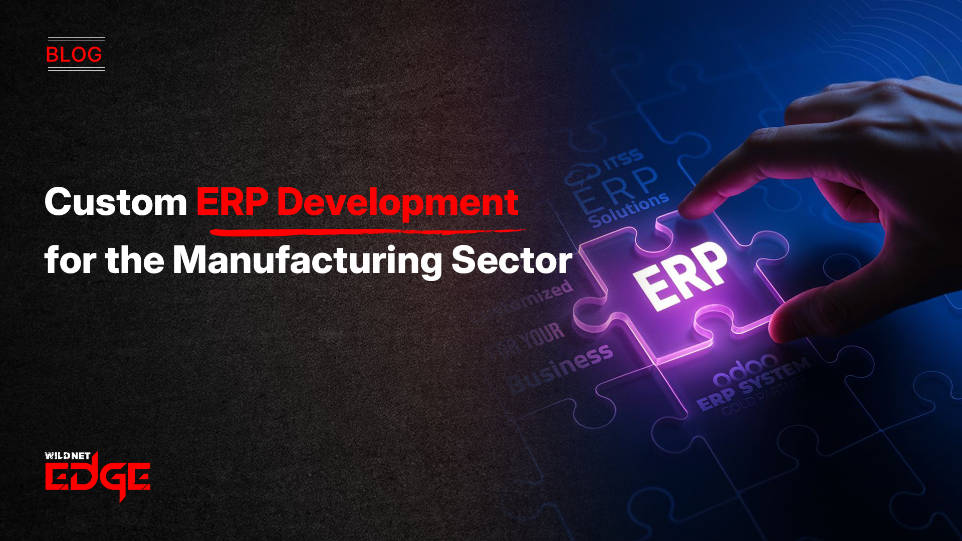 Custom ERP Development for the Manufacturing Sector