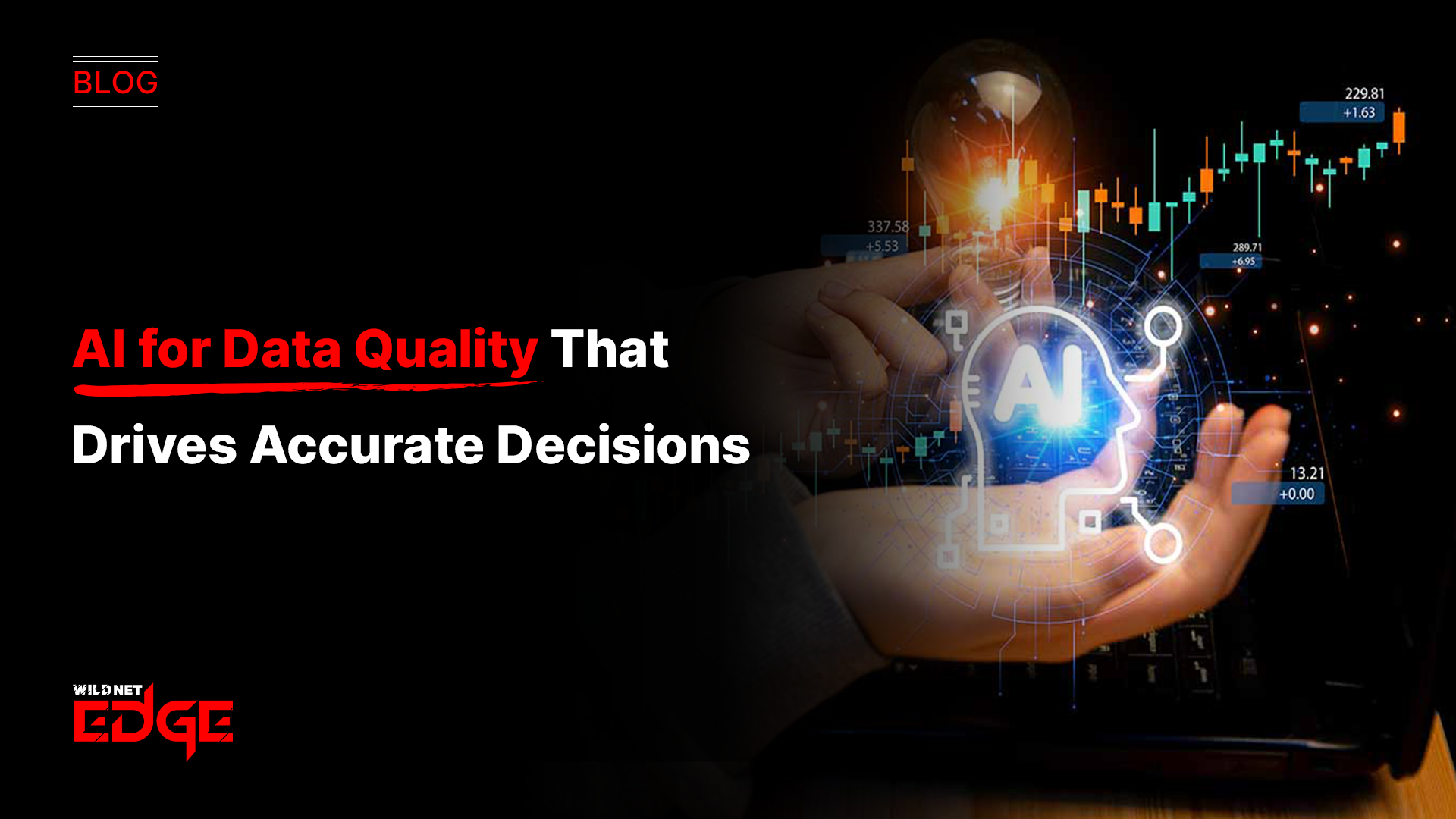 AI for Data Quality