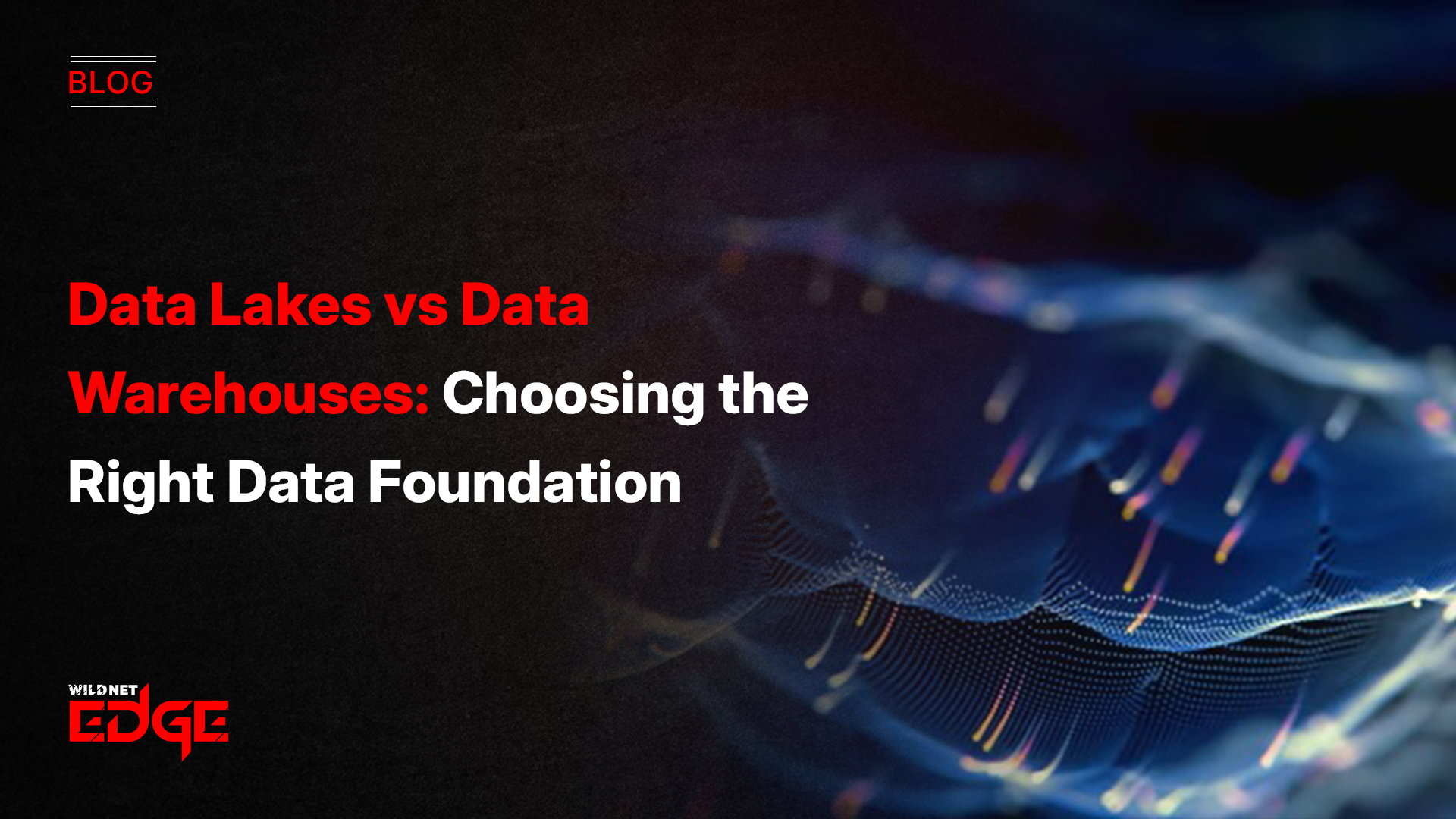 Data Lakes vs Data Warehouses