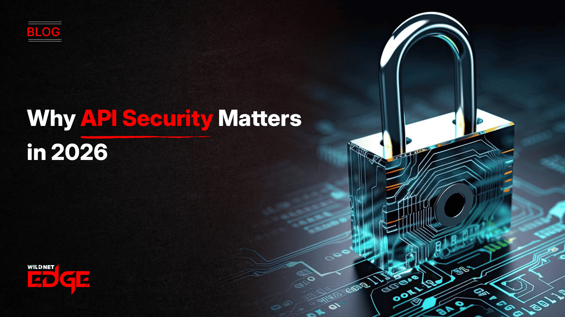 why-api-security-matters