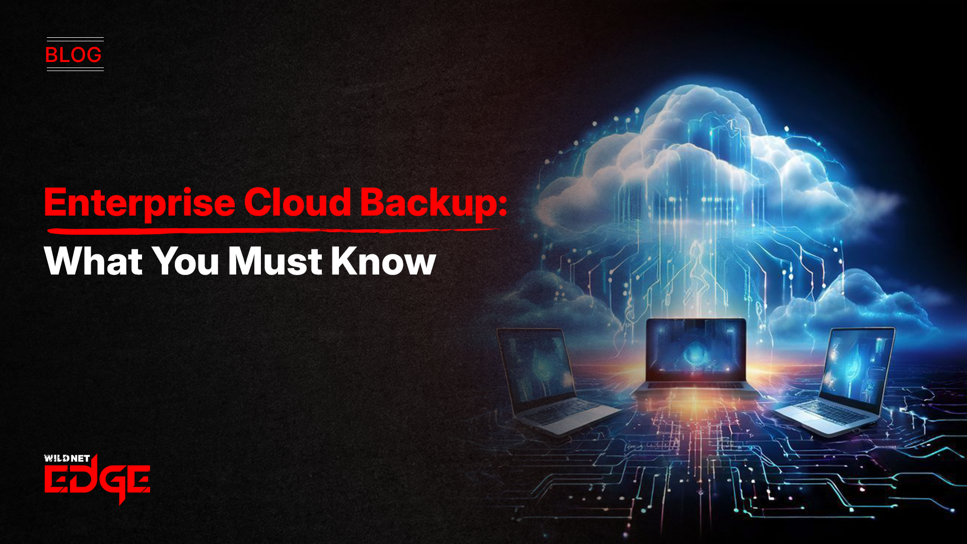Enterprise Cloud Backup