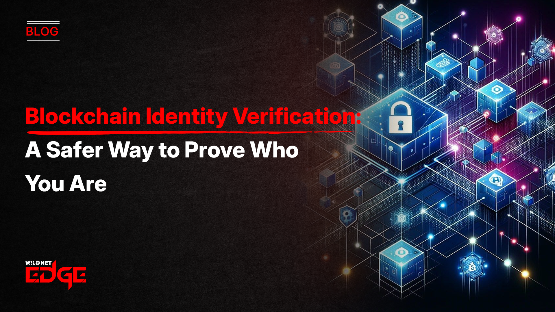 Blockchain Identity Verification