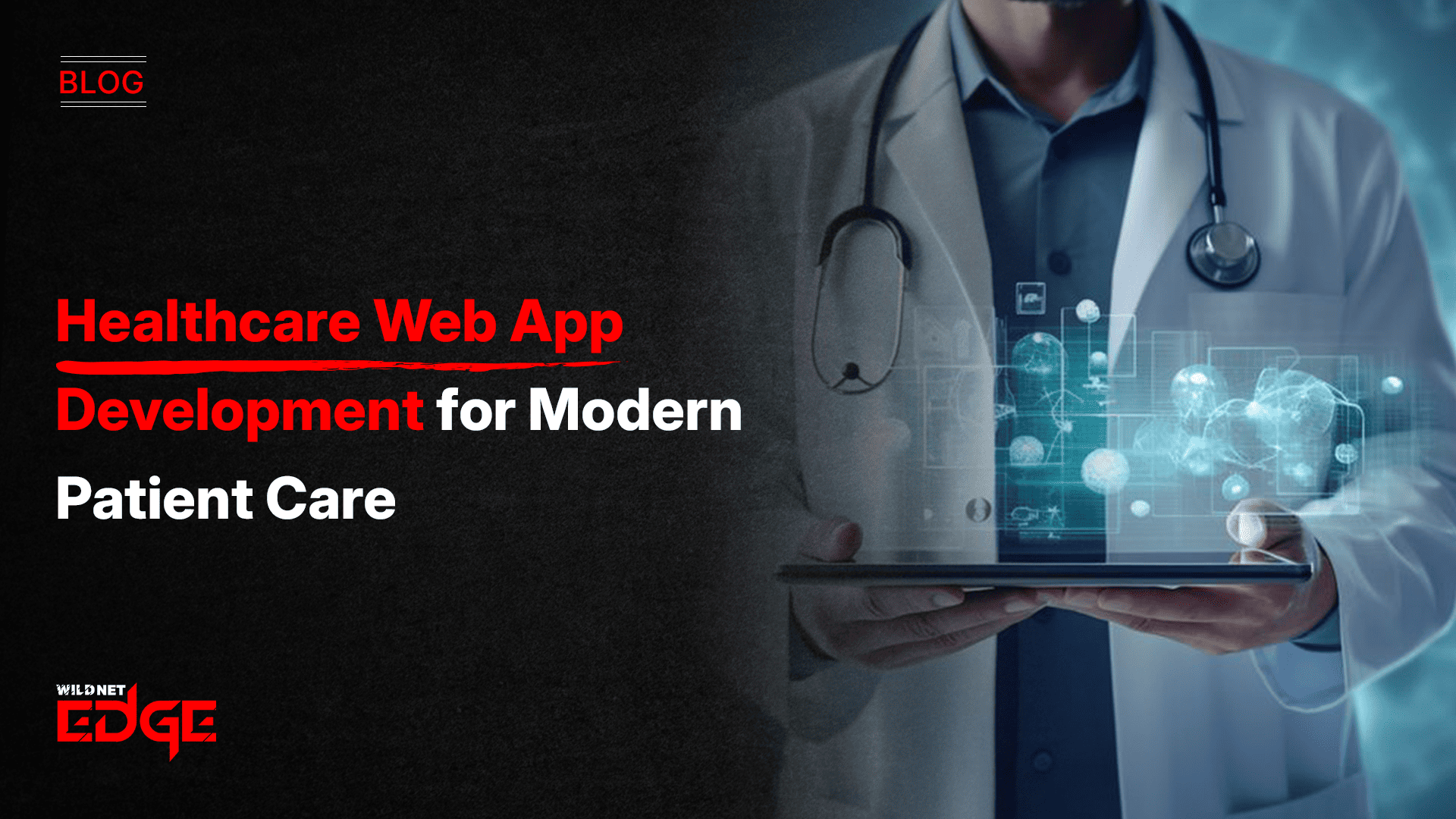 healthcare web app development
