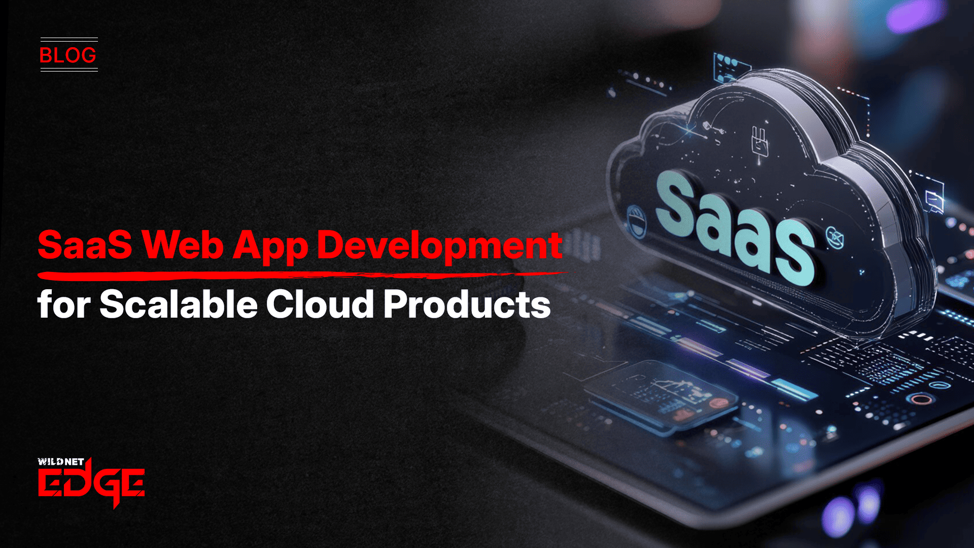 SaaS web app development