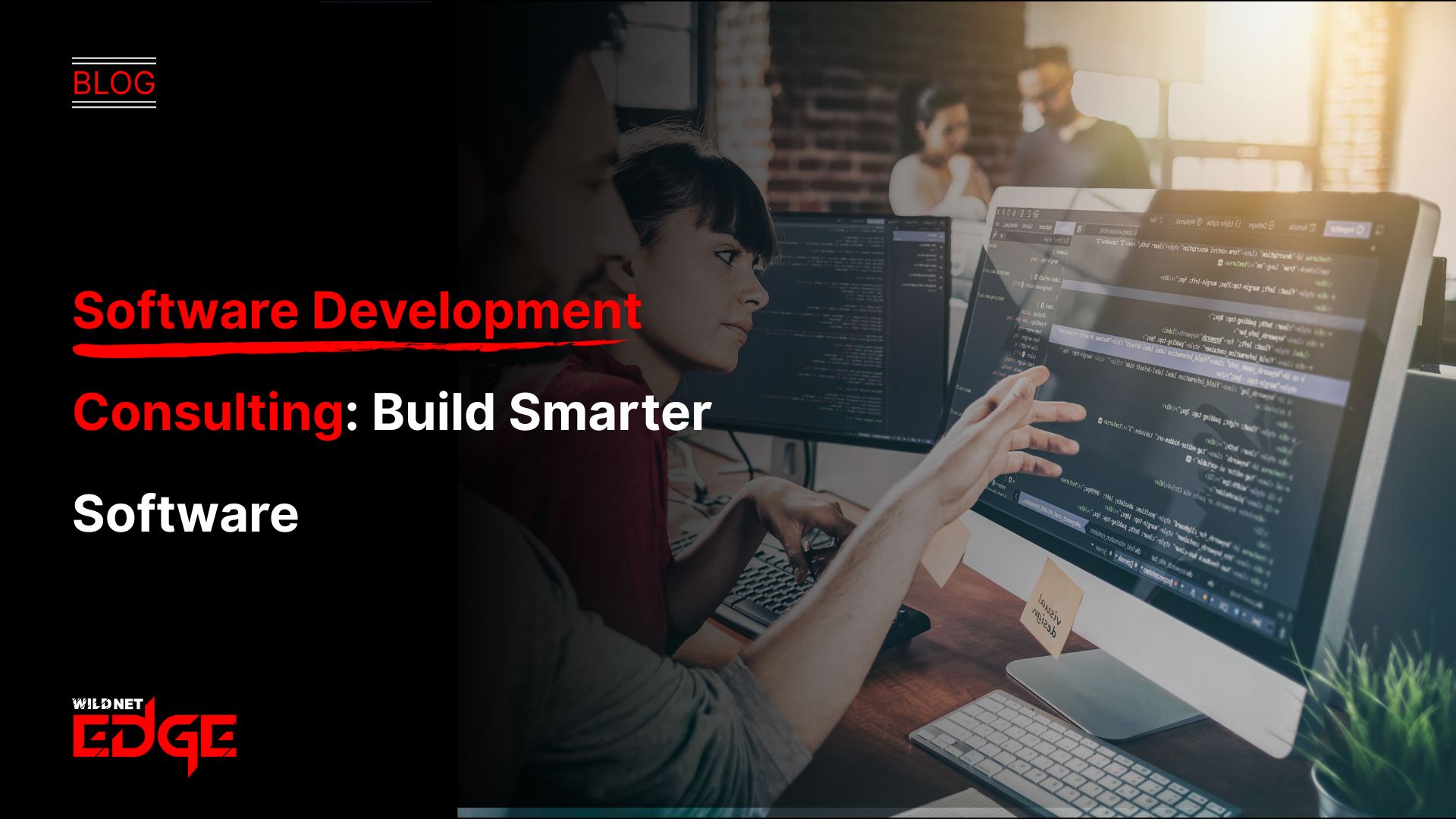 Software Development Consulting