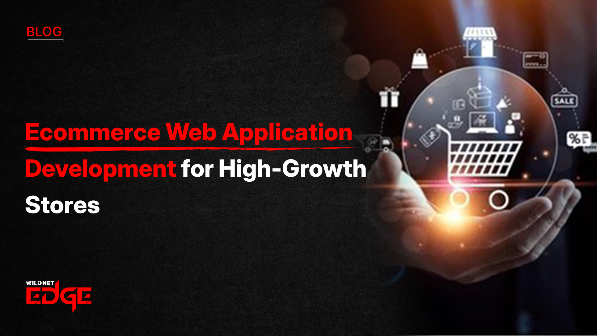 ecommerce web application development
