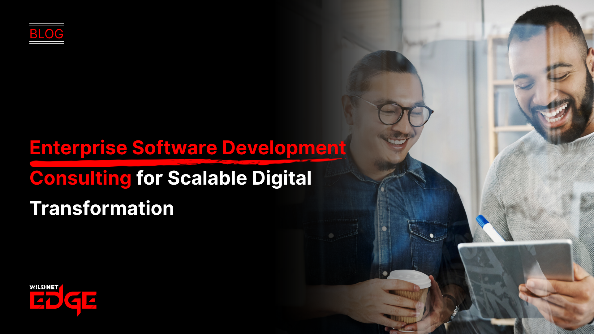 enterprise software development consulting