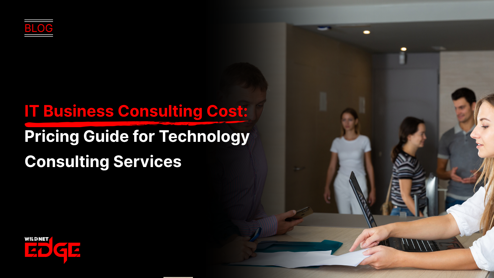 IT business consulting cost