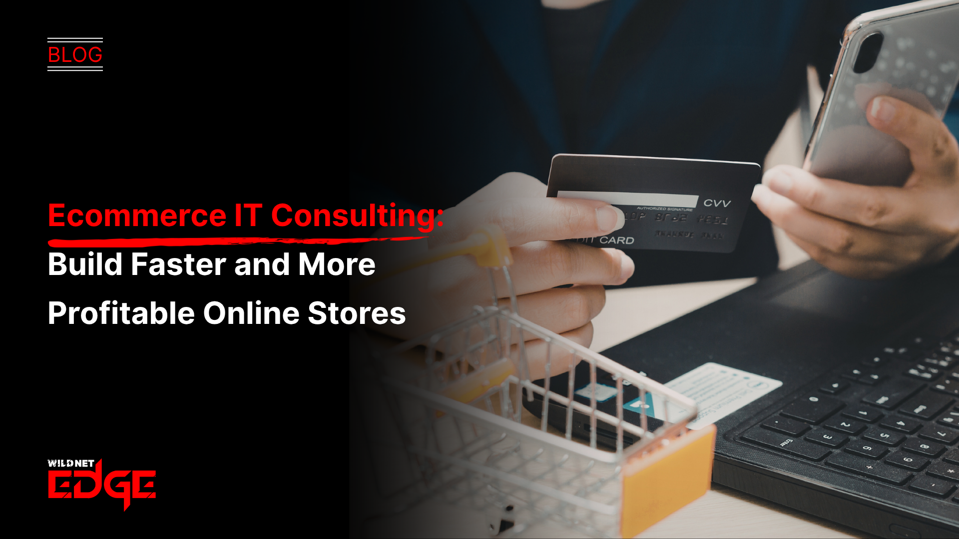Ecommerce IT Consulting