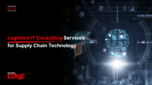 Logistics IT Consulting Services