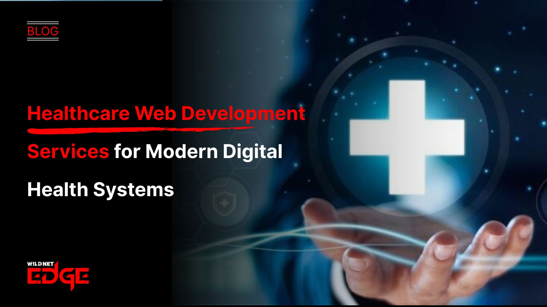Healthcare Web Development Services