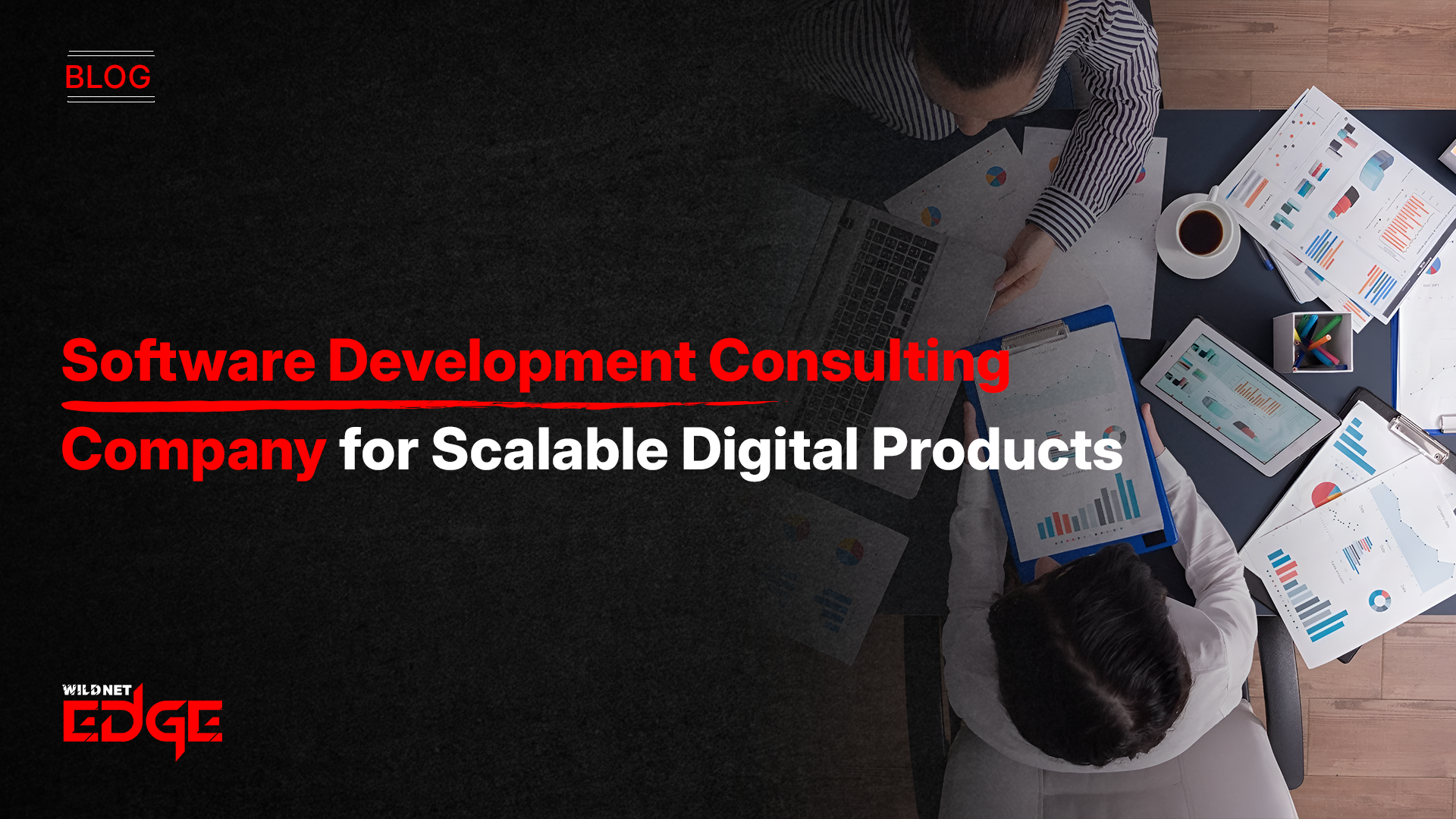 Software Development Consulting Company