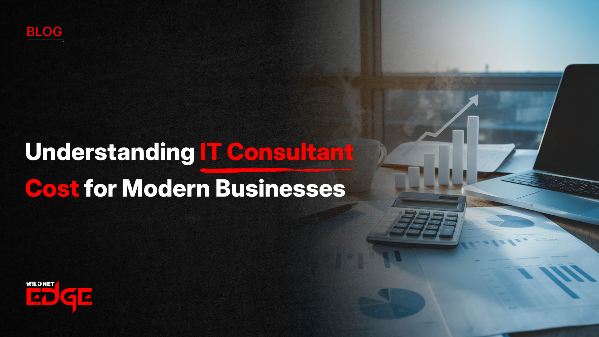 it consultant cost