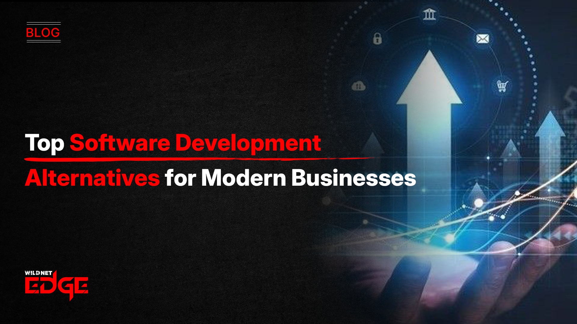 Software Development Alternatives