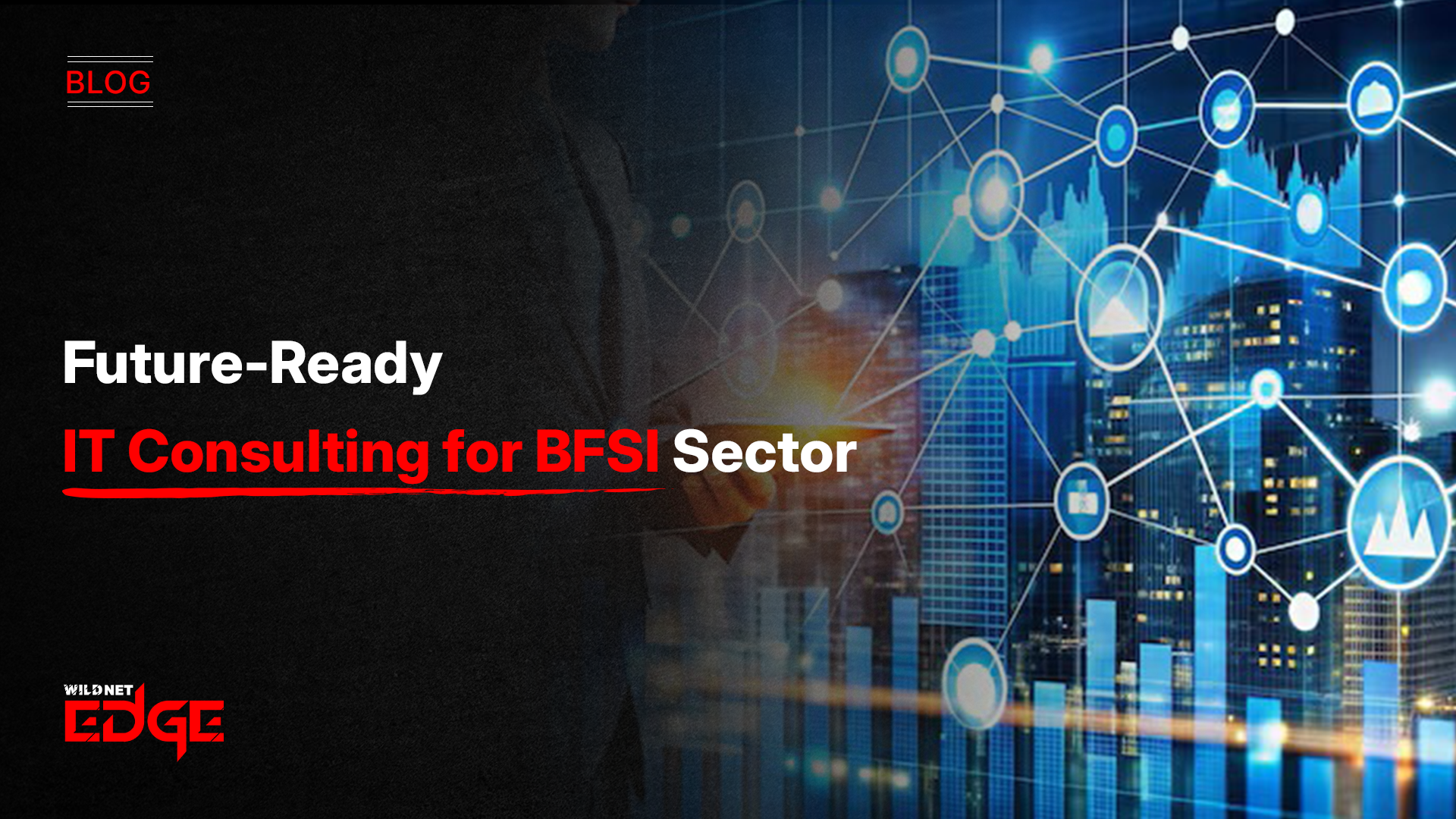 it bfsi consultant