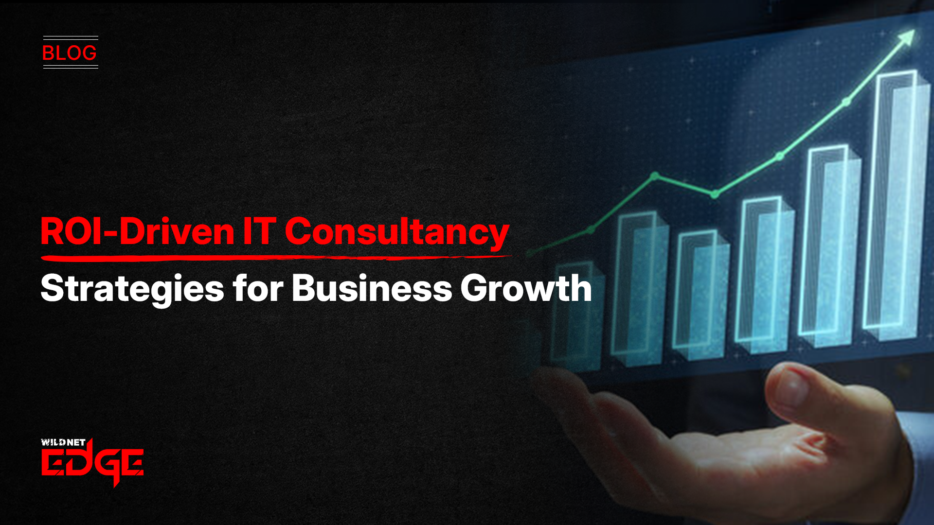 ROI-Driven IT Consultancy