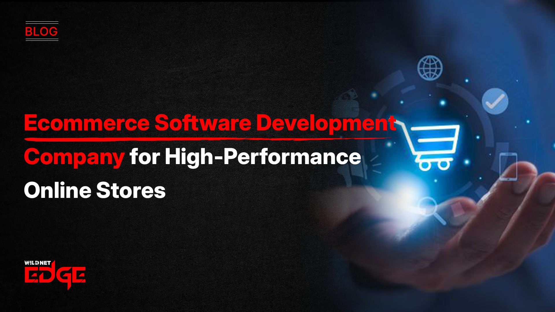 Ecommerce Software Development Company