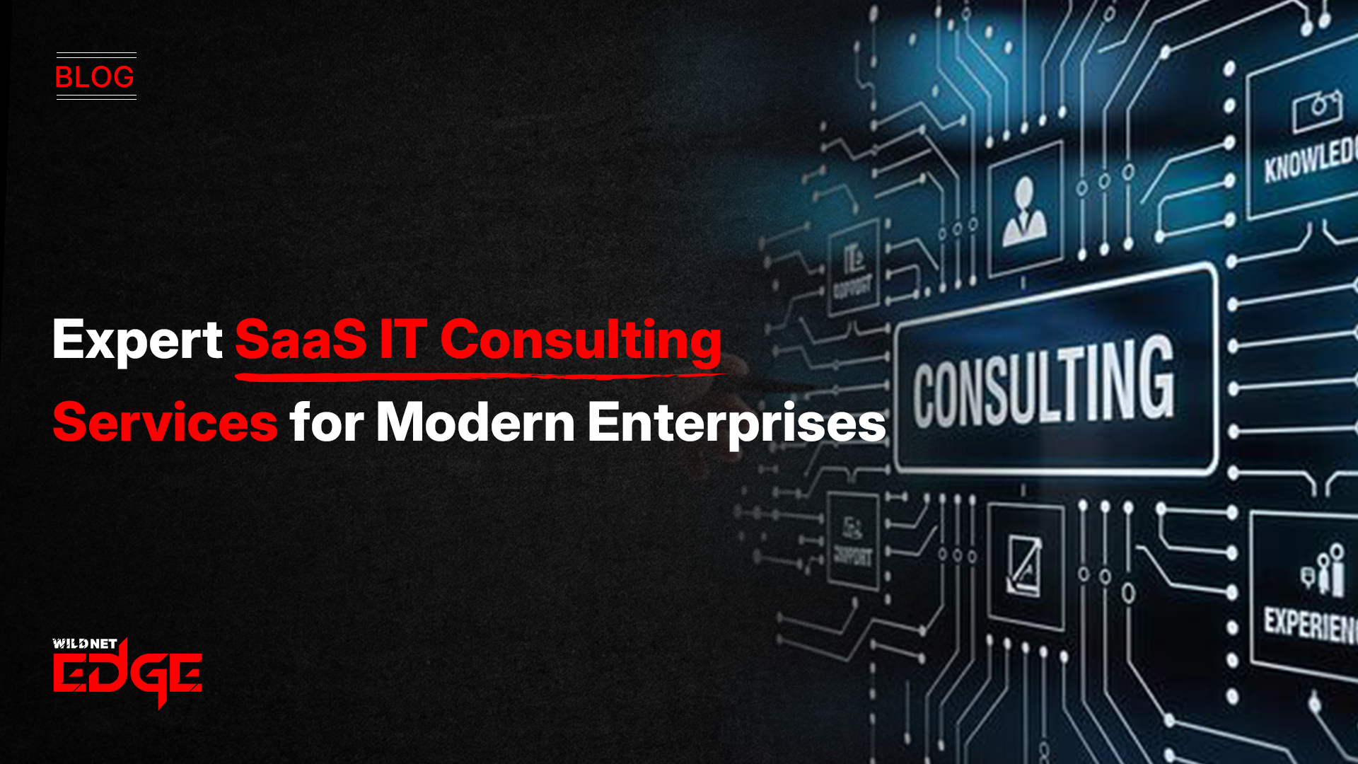 it consultancy services saas