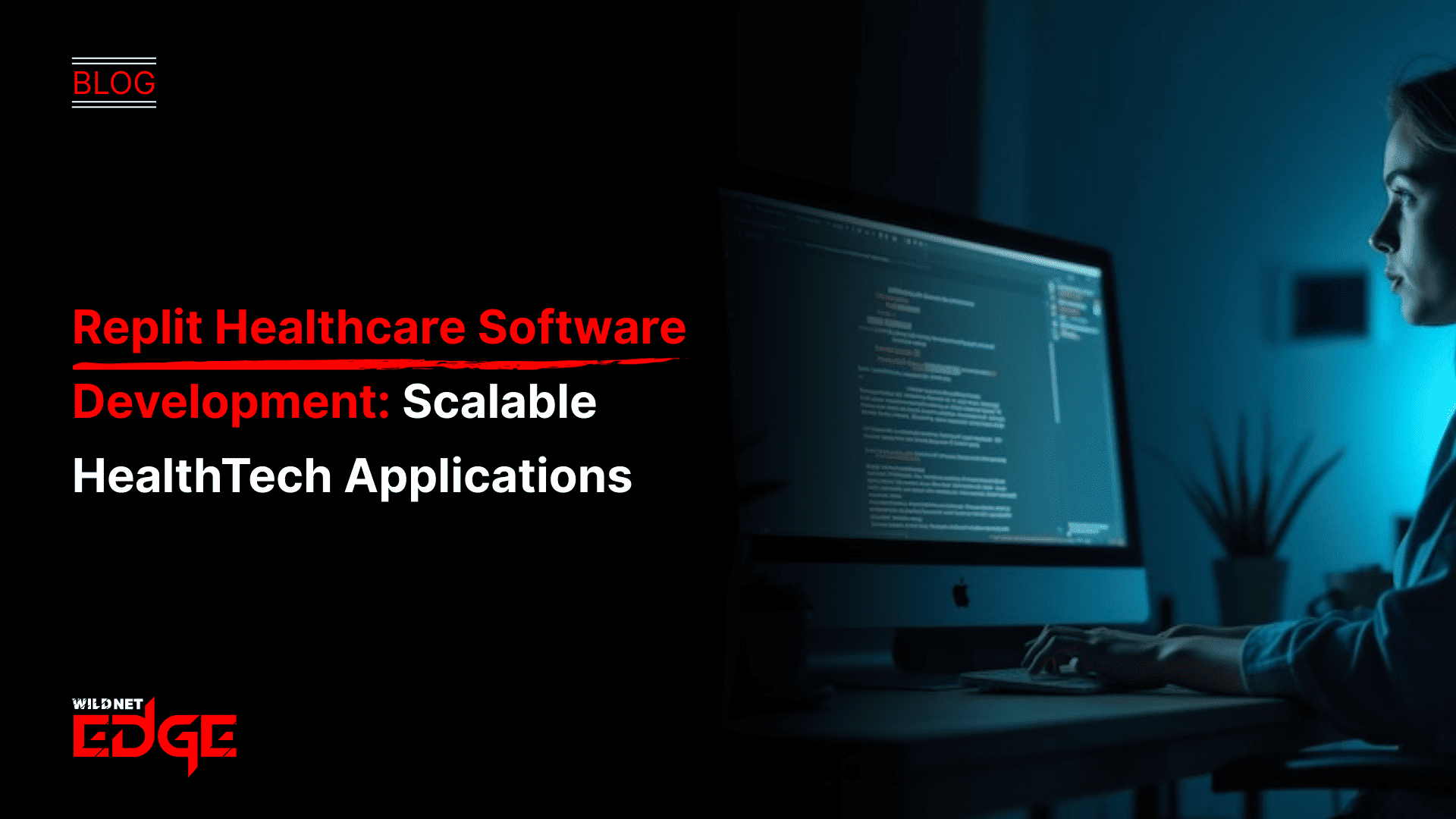 Replit healthcare software development